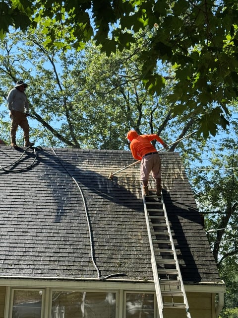 Roof cleaning in progress