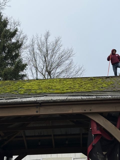 Moss removal in progress