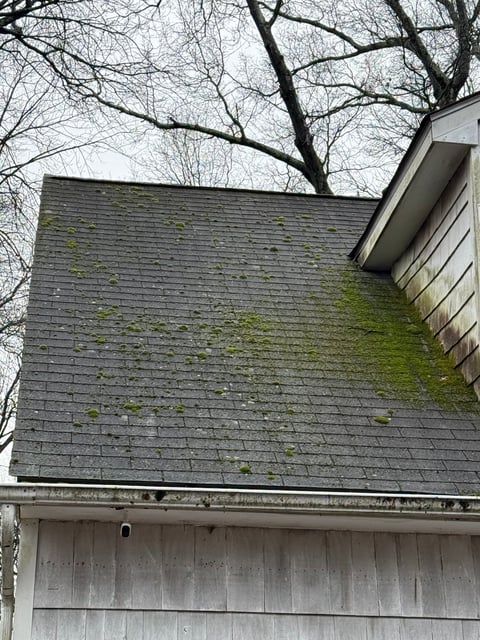 Moss-covered roof before cleaning