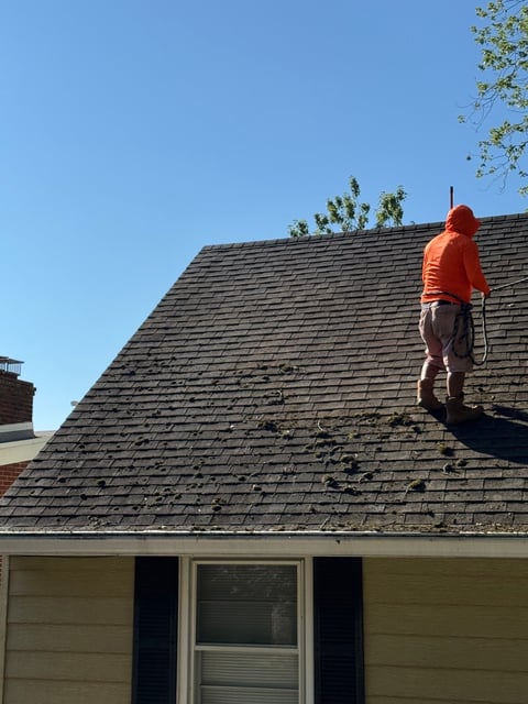 Roof work in progress