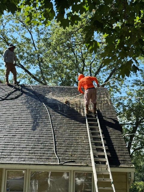 Roof cleaning in progress
