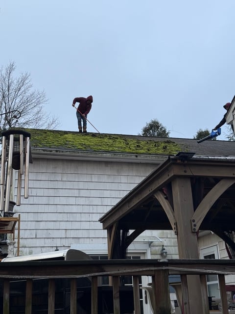 Moss removal in progress