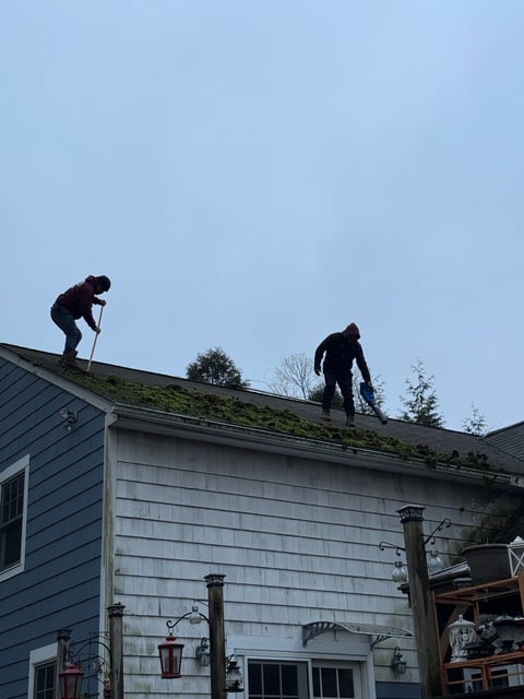 Moss removal in progress