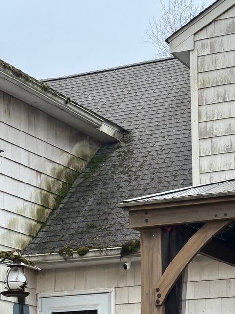 Moss-covered roof before cleaning