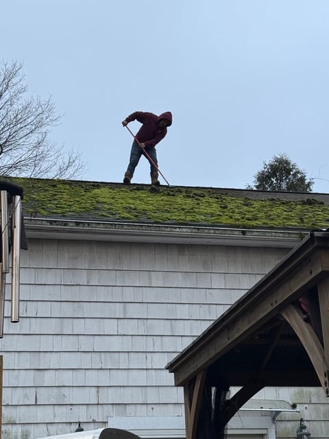Moss removal in progress